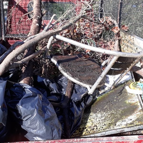 GIORNATA ECOLOGICA 2019 -